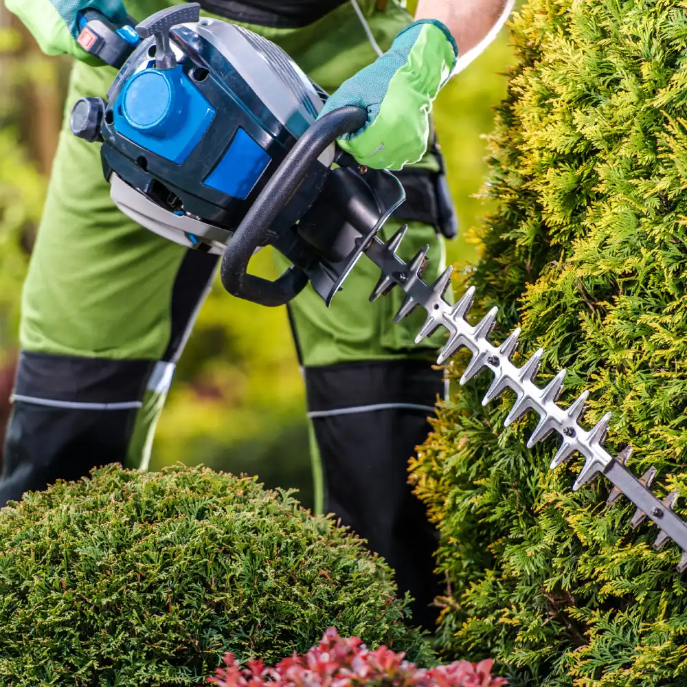 Jardinier taillant une haie avec un taille-haie