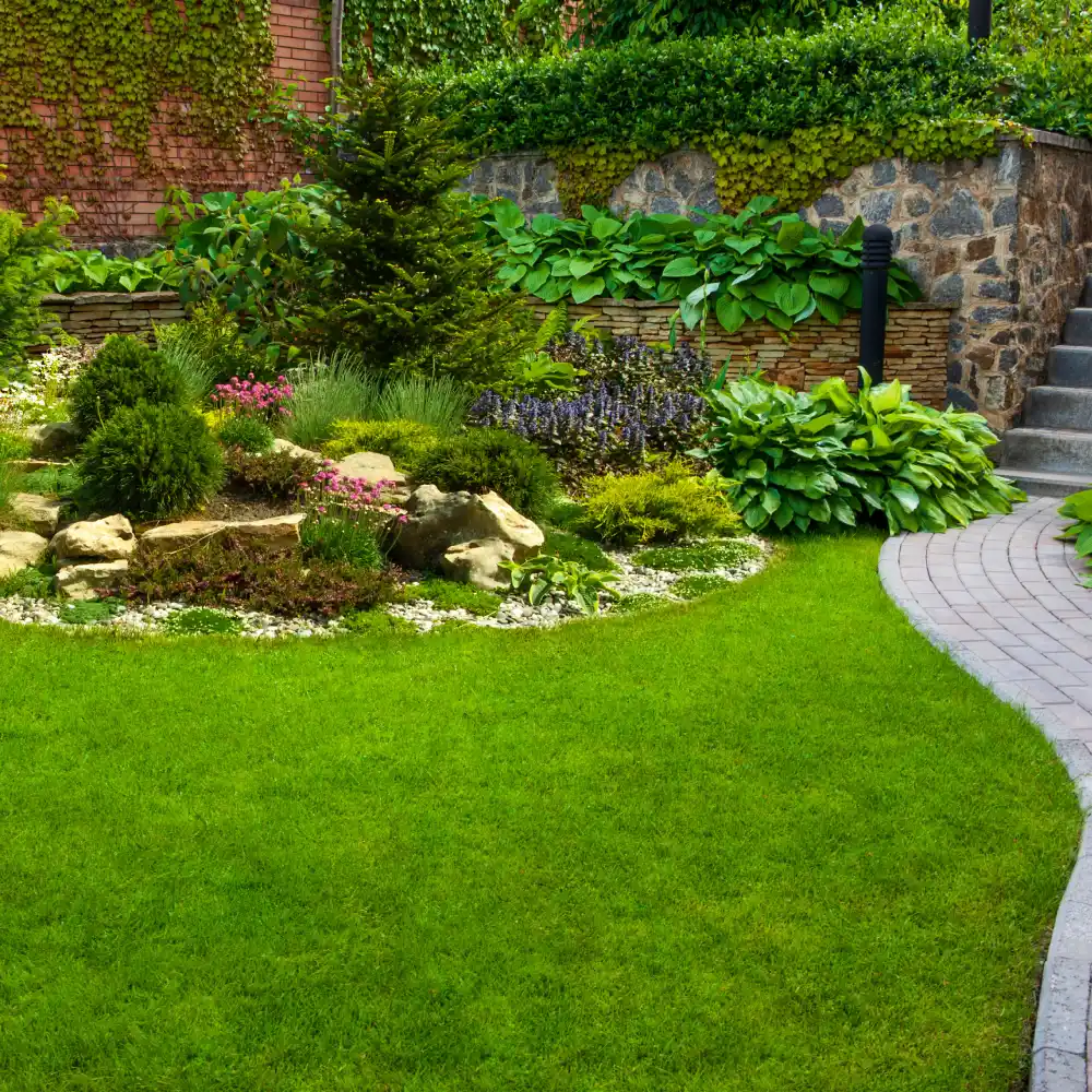 Jardin avec pelouse et plantes