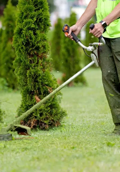 Personne utilisant une débroussailleuse