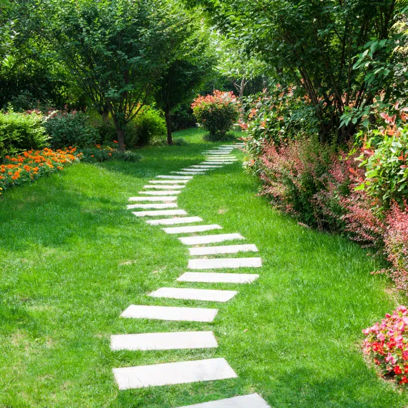 Sentier sinueux dans un jardin verdoyant